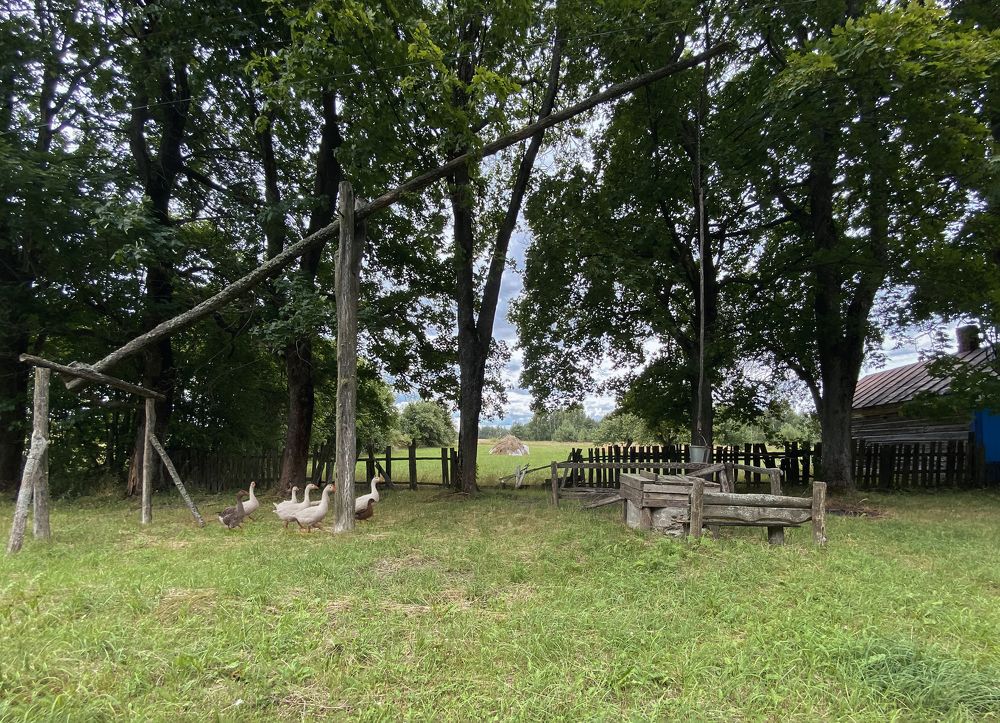 Photograph by Светлана Карнаух