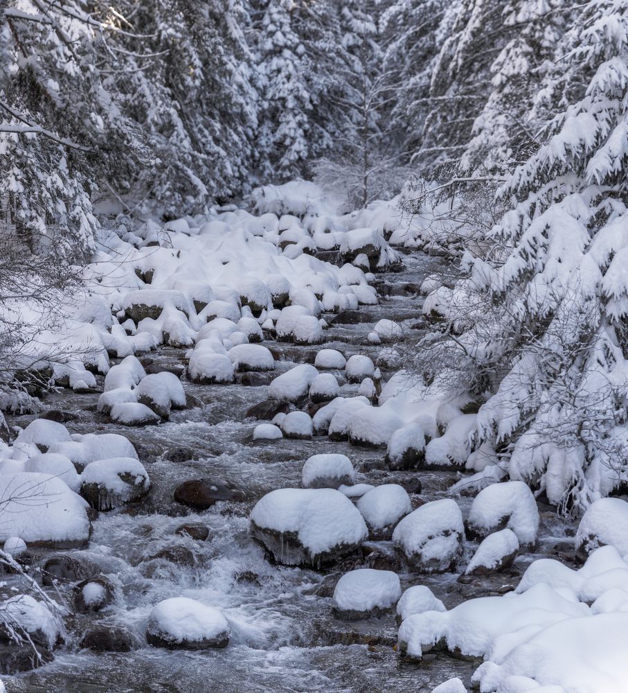 Photograph by Taтьяна Войлокова