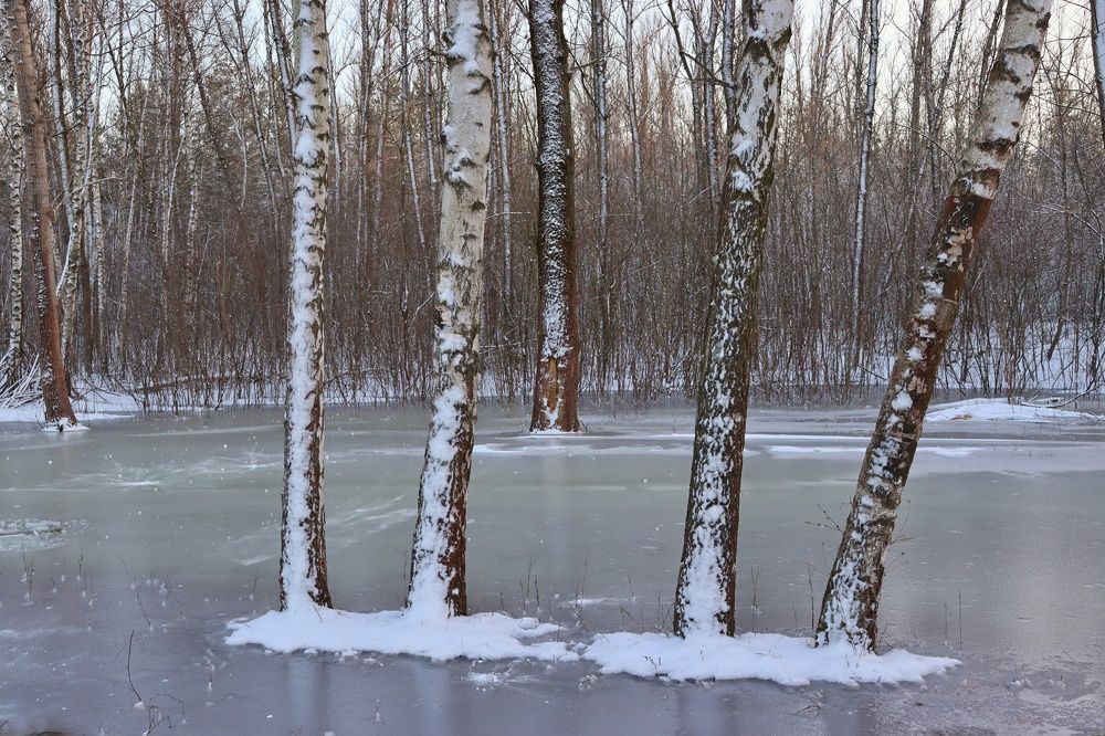 Photograph by Katerina Akalifa