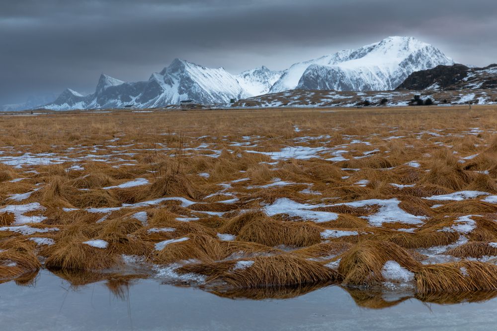 Photograph by Евгения Чех