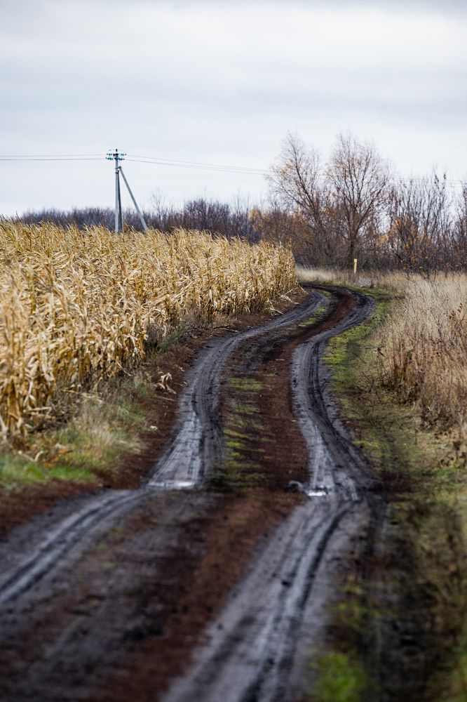 Photograph by Ирина Левакова