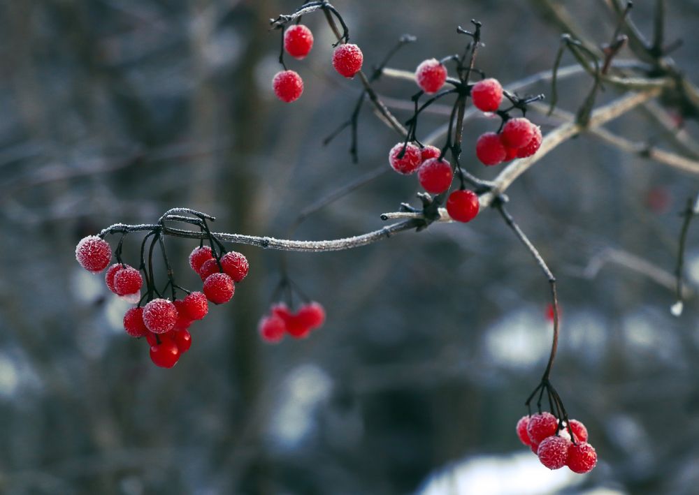 Photograph by Татьяна Новикова