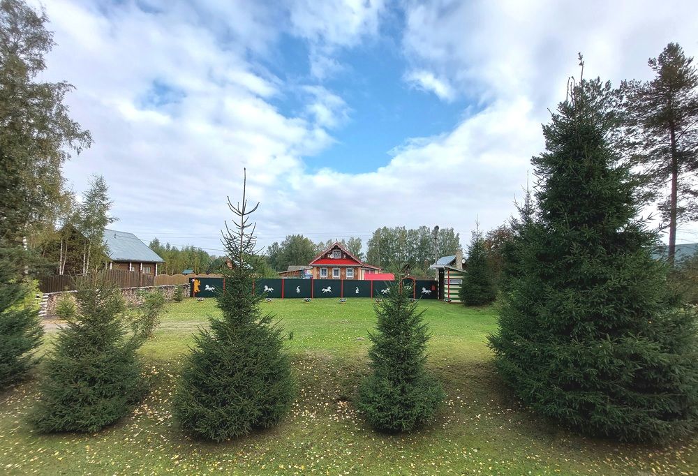 Photograph by Елена Тимченко