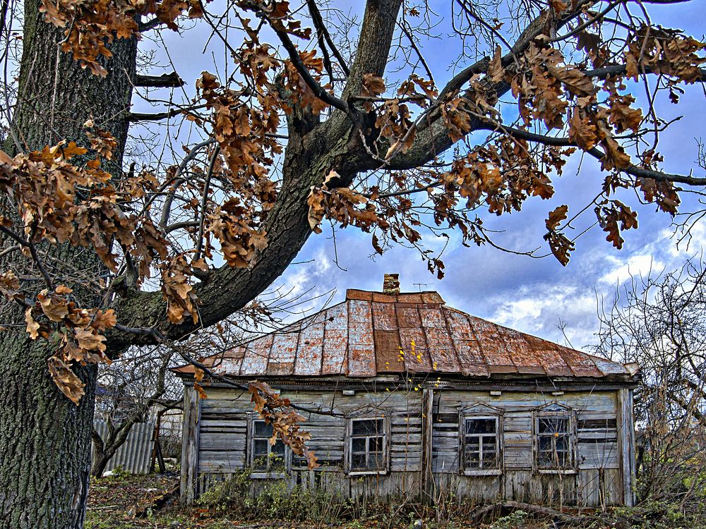 Photograph by Игорь Зиновьев