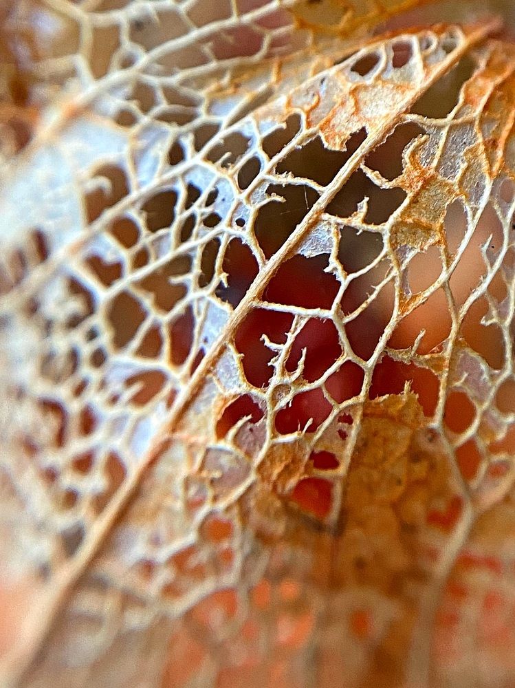 Photograph by Юлия Зырина