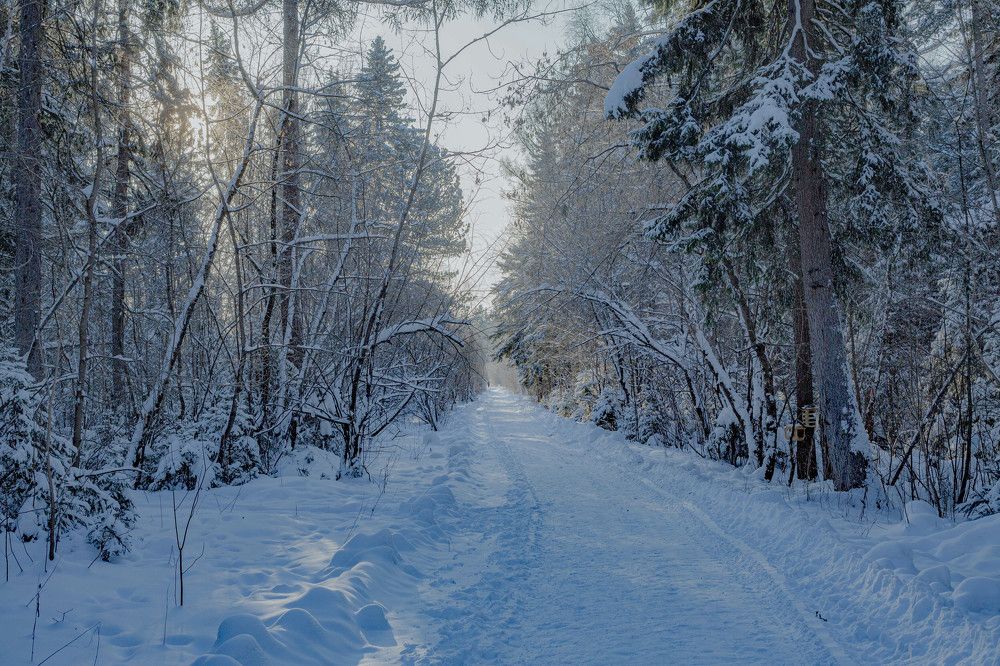 Photograph by Евгений Авдеев