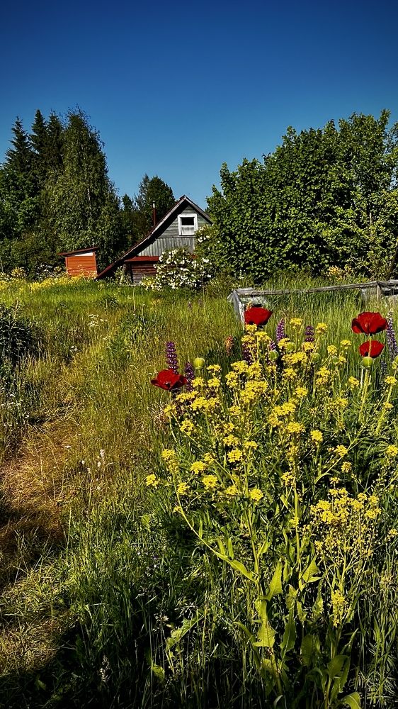 Photograph by Наталья Никитина