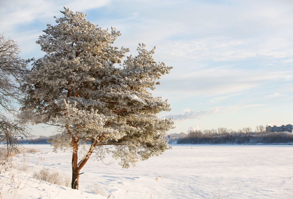 Зима снежная