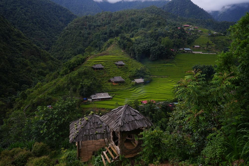 Photograph by Светлана Зимина