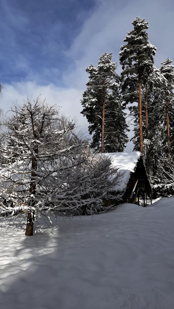 Photograph by Наталья Никитина