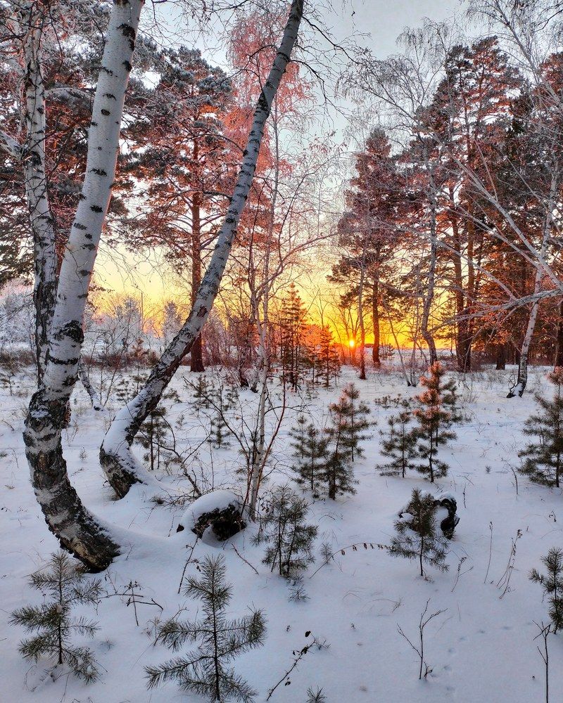 Фотография автора Марина Борисова