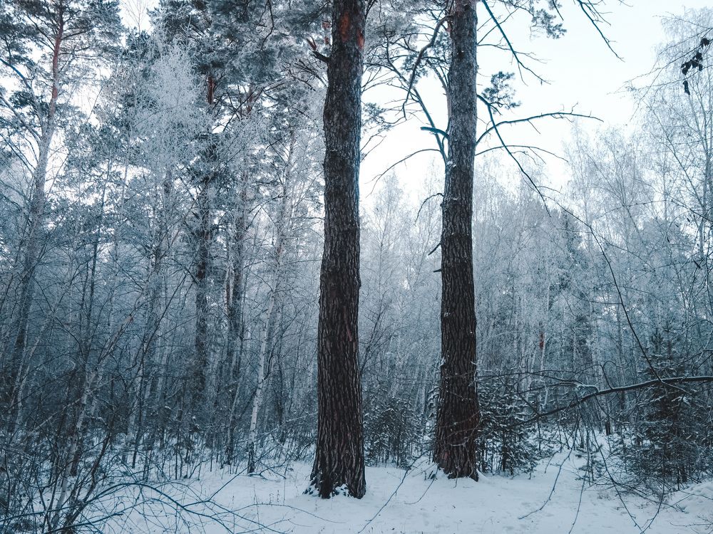 Фотография автора Марина Борисова