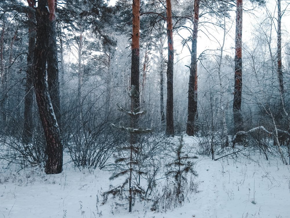Фотография автора Марина Борисова