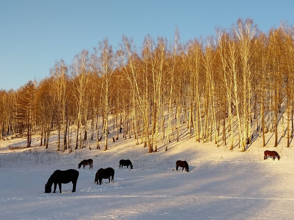 Photograph by Юлия Фирман