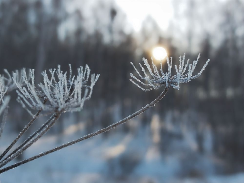 Photograph by Юлия Фирман