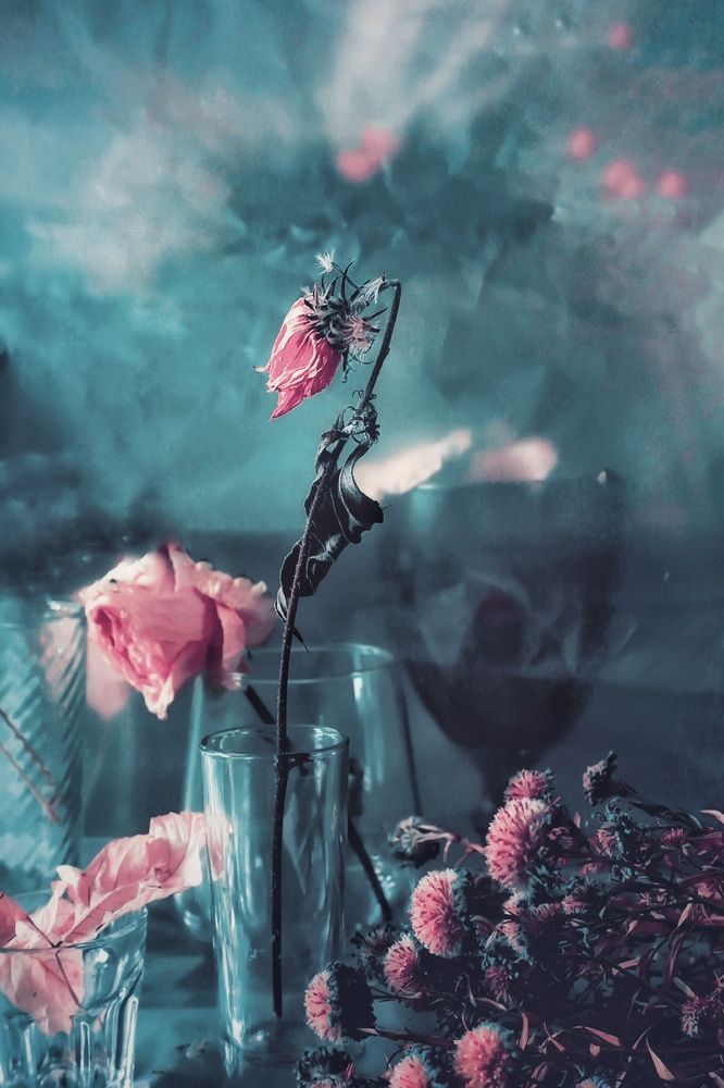 Photograph by Татьяна Гулакова