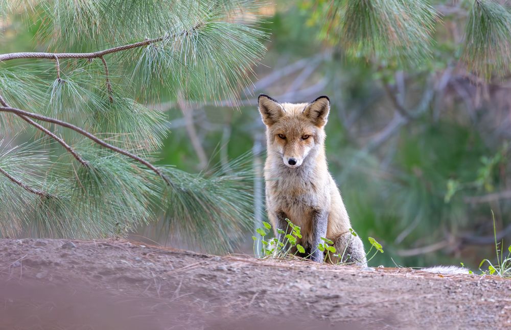 Photograph by Vida Shams