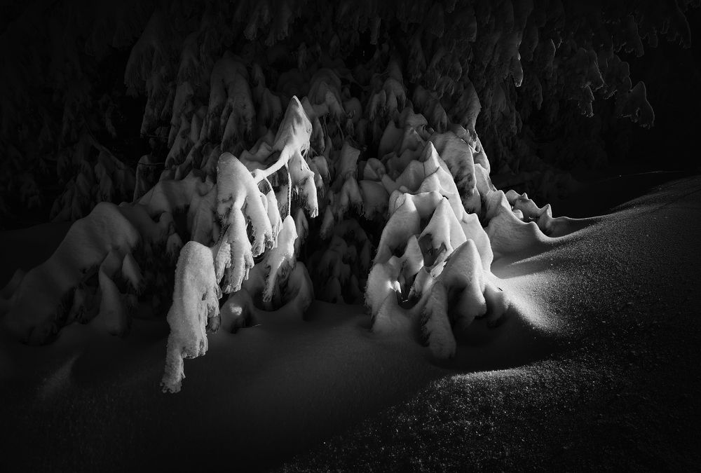 Photograph by Ivanka Iantcheva