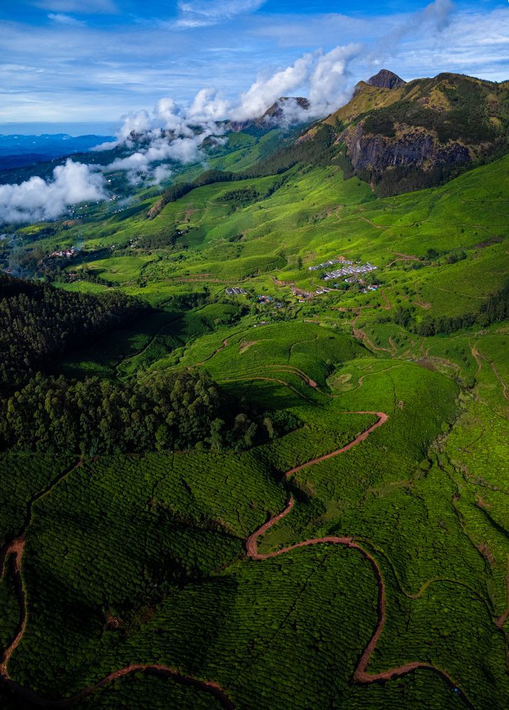 World's Higest Tea Plantation-Kolukkumalai