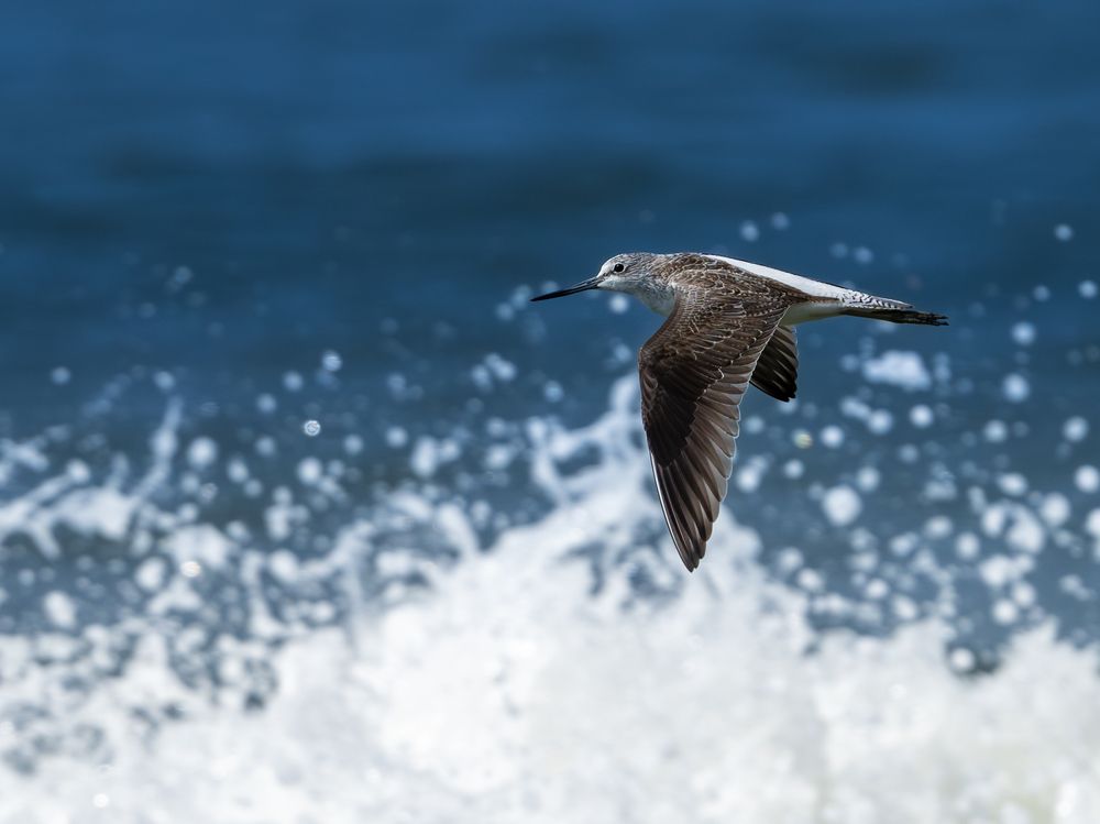 Photograph by Vipin P C