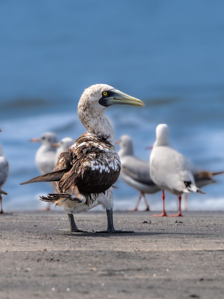 Photograph by Vipin P C