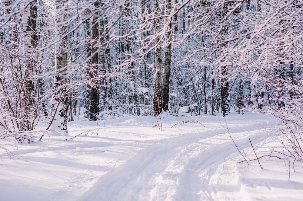 Photograph by Александр Ермаченко