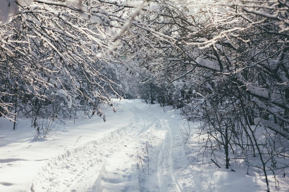 Photograph by Александр Ермаченко