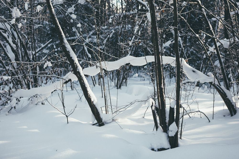 Photograph by Александр Ермаченко
