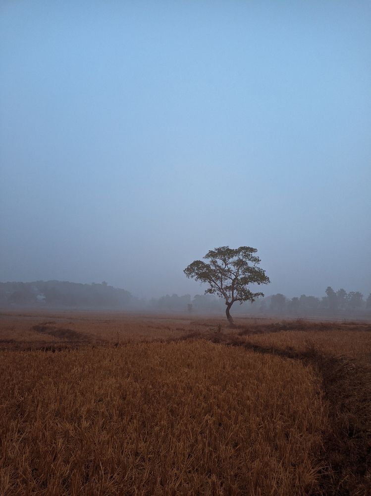 Photograph by Ajay Kumar
