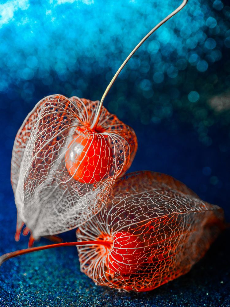 Photograph by Ирина Корабельникова