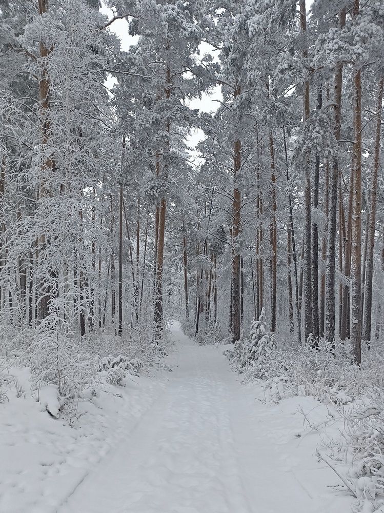 Photograph by Елена Кузнецова