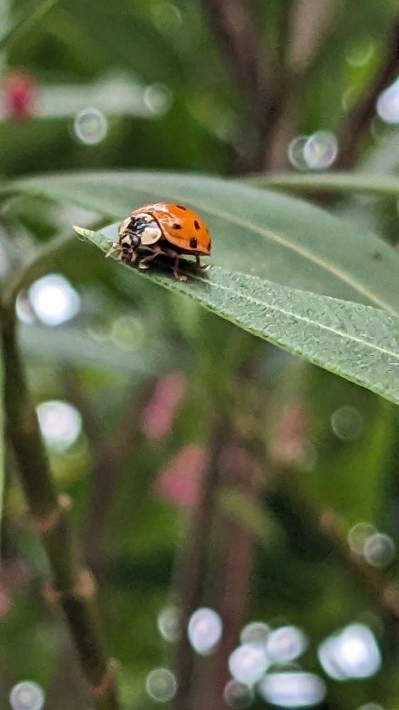 Photograph by Lilit Petrosyan