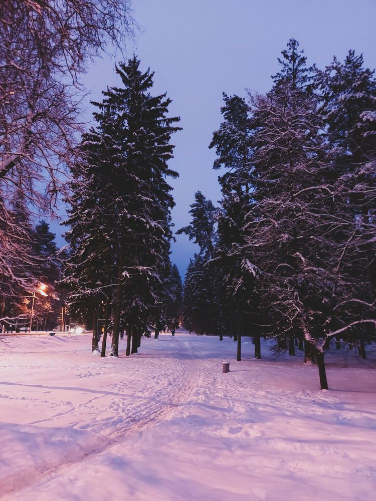 Photograph by Екатерина Мосевич