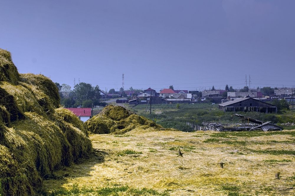 Photograph by Сергей Черных