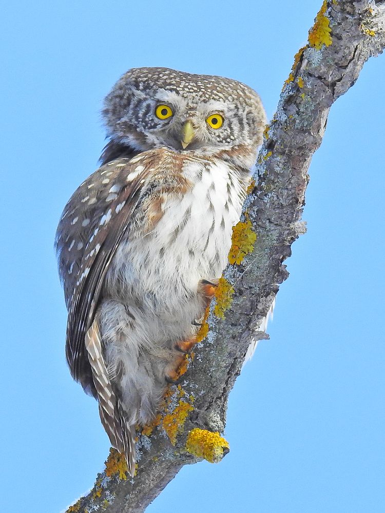 Photograph by Игорь Степанов