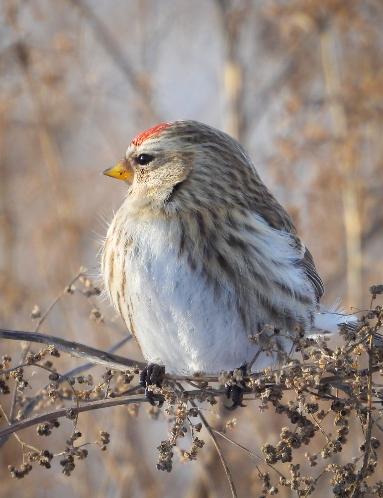 Photograph by Игорь Степанов
