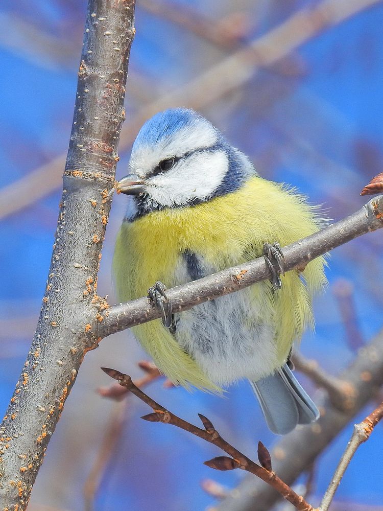 Photograph by Игорь Степанов