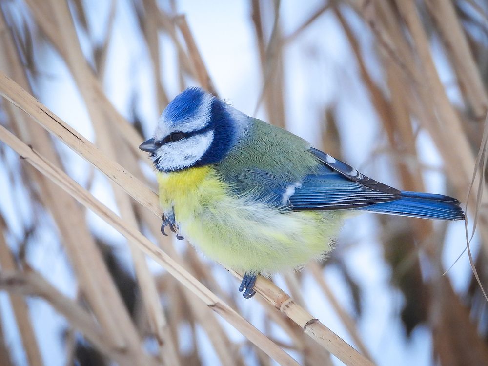 Photograph by Игорь Степанов