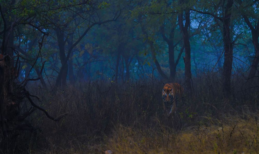 Photograph by Samita