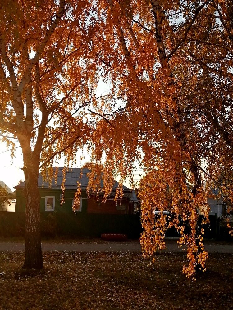 Photograph by Наталья Дубовкина