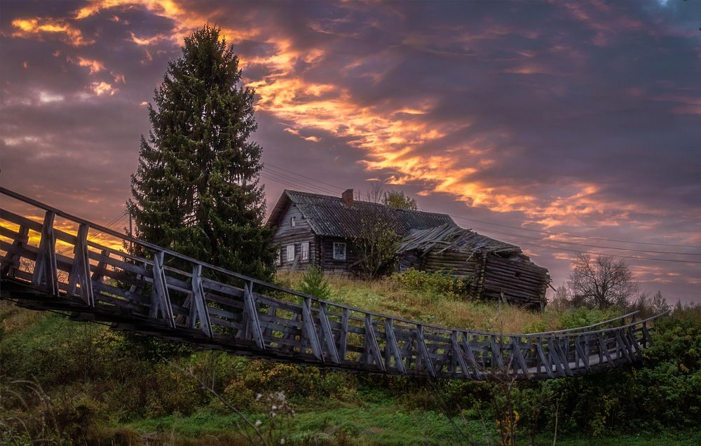 Вепсский лес