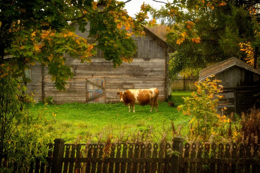 Photograph by Вячеслав Косенков
