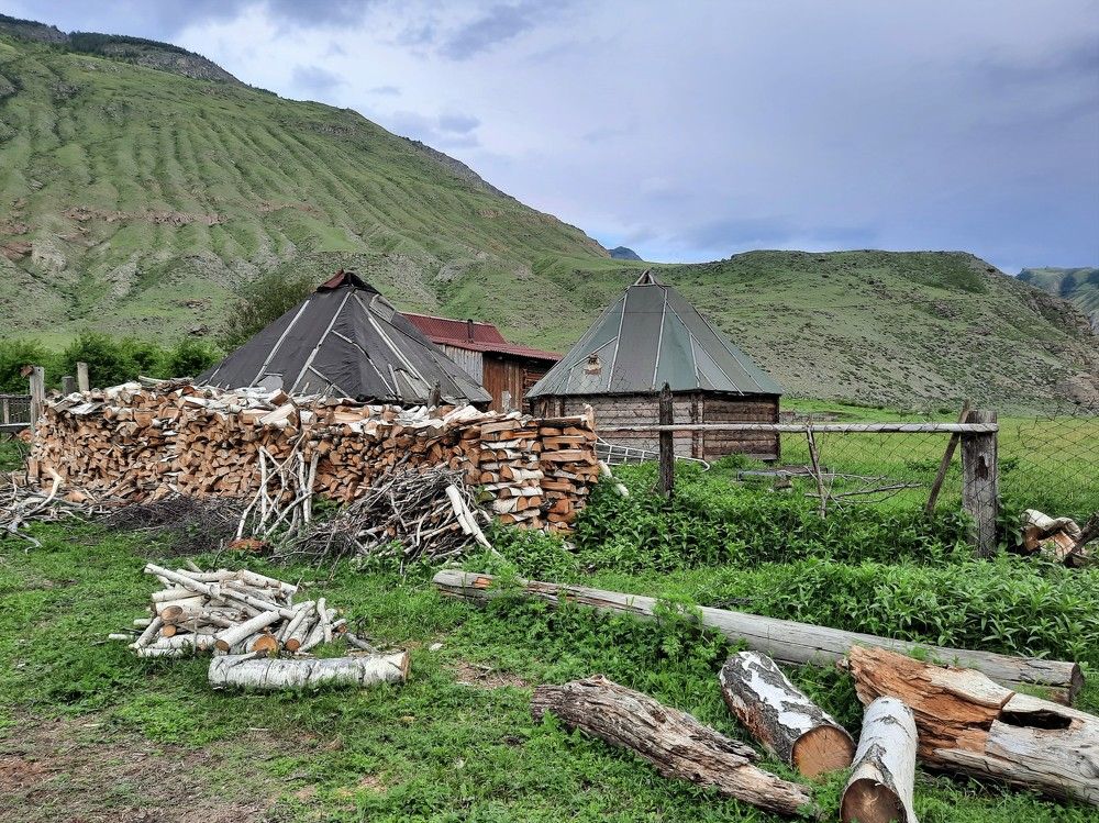 Фотография автора Елена Пикатова