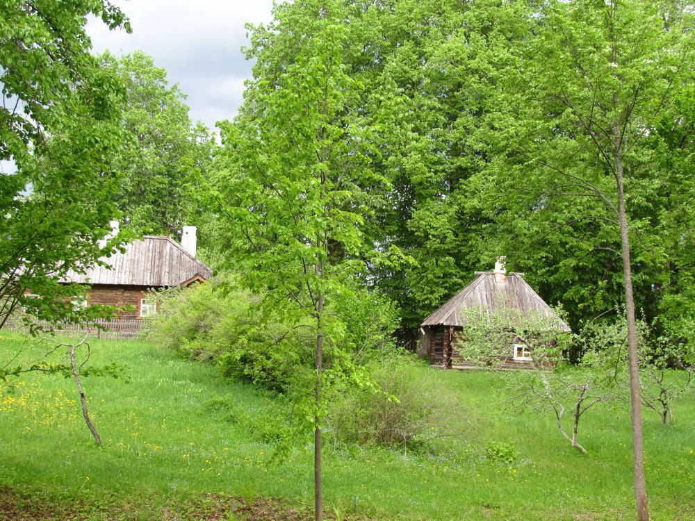 Photograph by Владимир Грибков