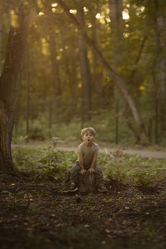 Photograph by Софья Пузикова