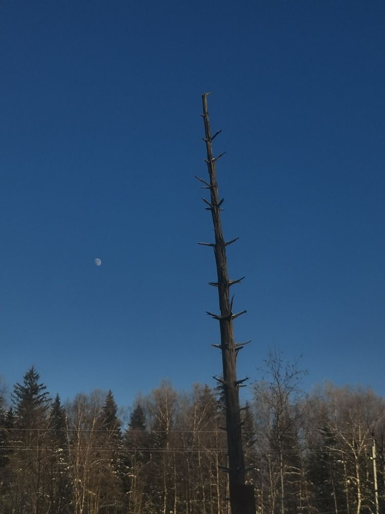 Photograph by Ольга Лукина