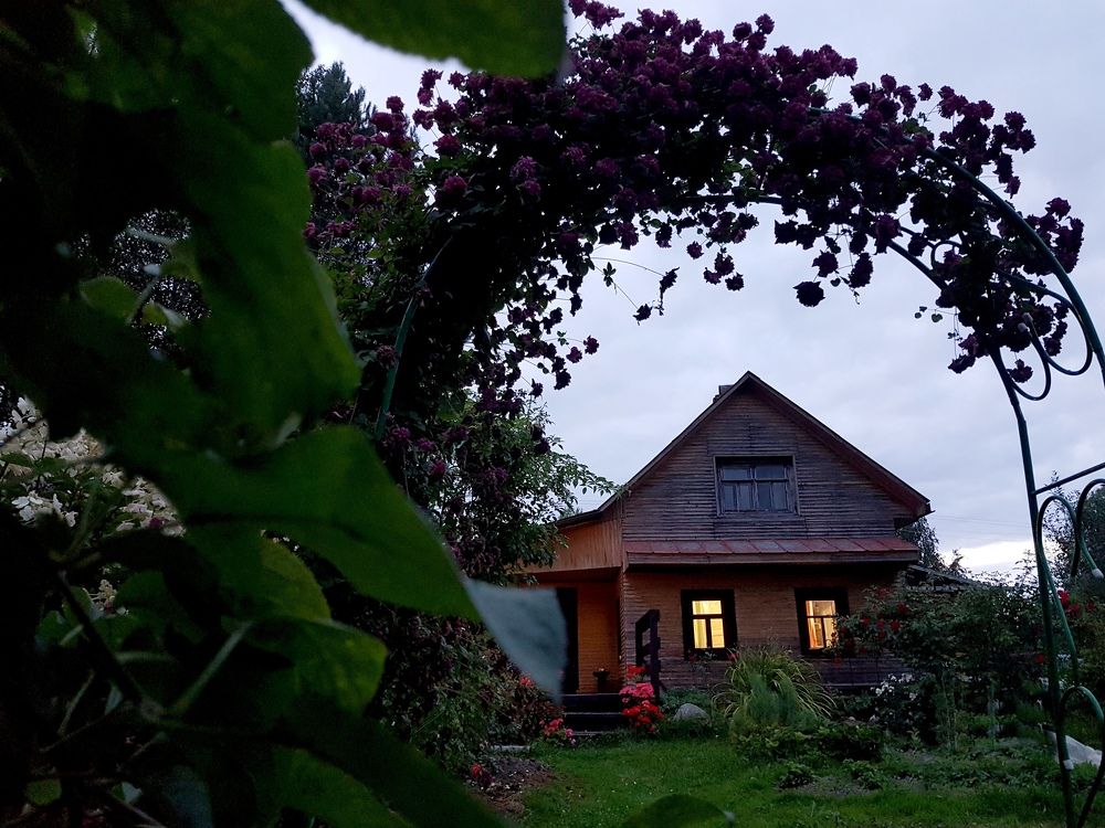 Photograph by Марина Стародуб