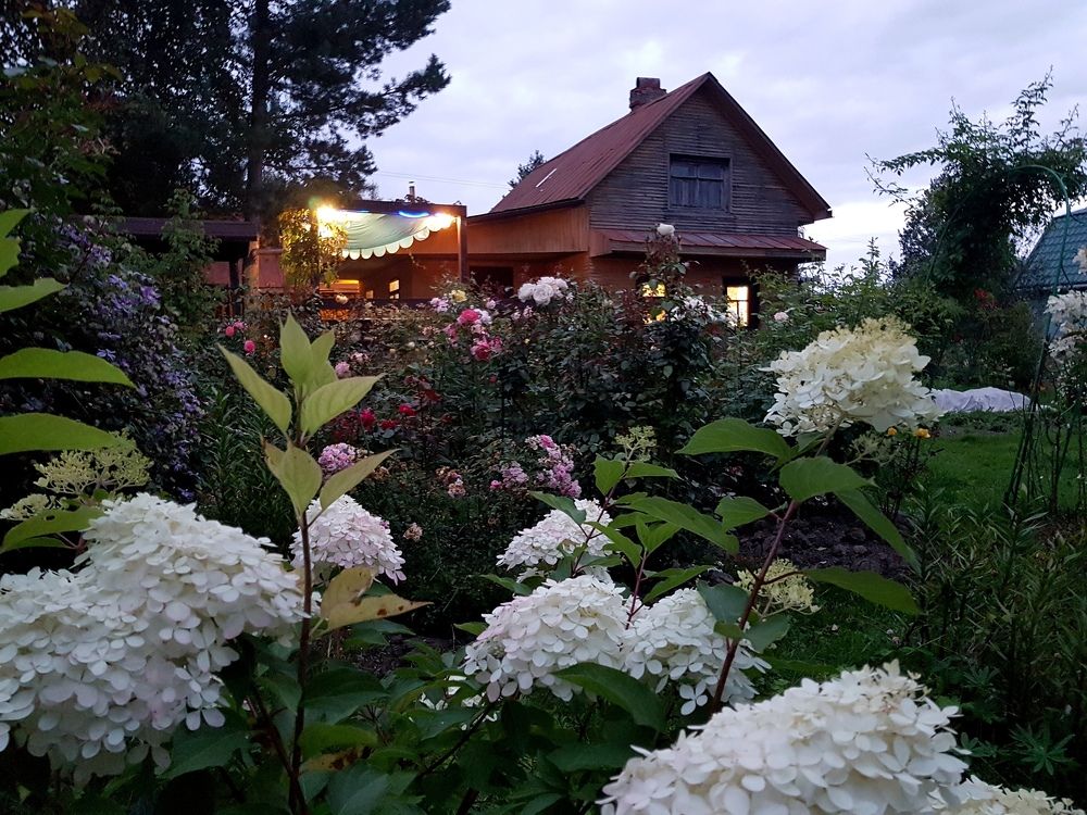 Photograph by Марина Стародуб