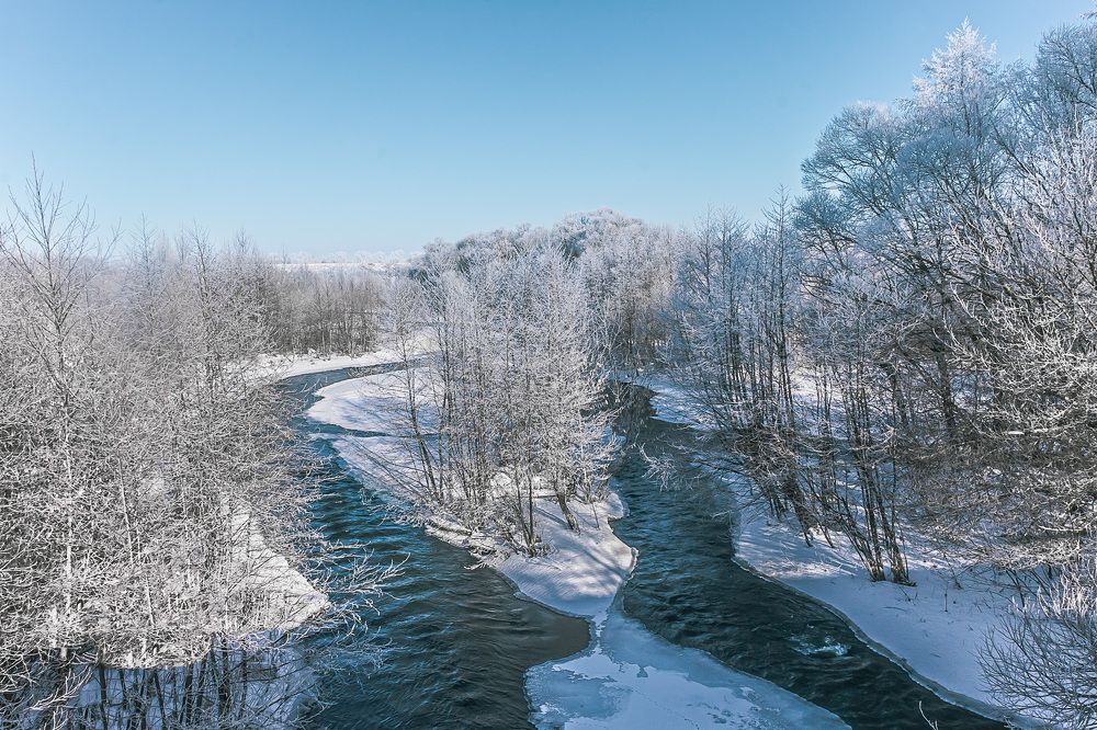 Фотография автора Николай Бологов