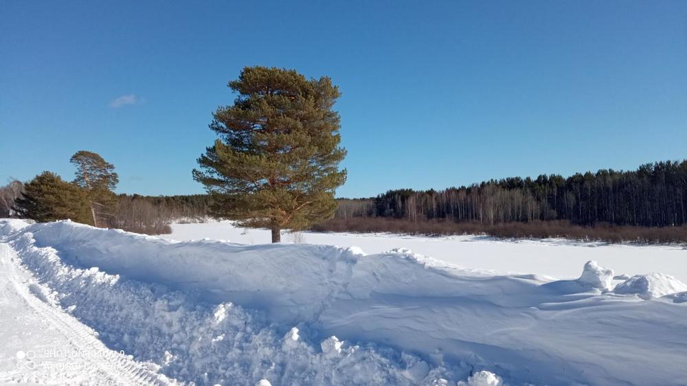 Берег озера